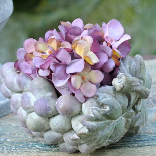 Floristik24 Dekorativ skål druer grå lilla creme 19×14cm H9,5cm