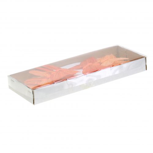 Floristik24 Deco sommerfugl appelsin 12 stk