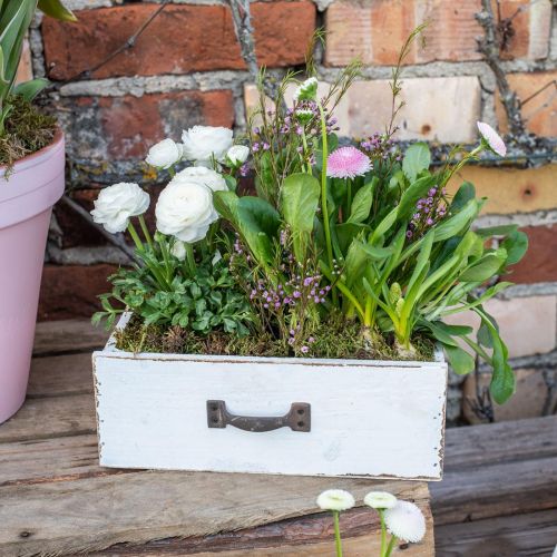 Floristik24 Dekorativ skuffe hvid plantekasse træ vintage look 25×13×8cm
