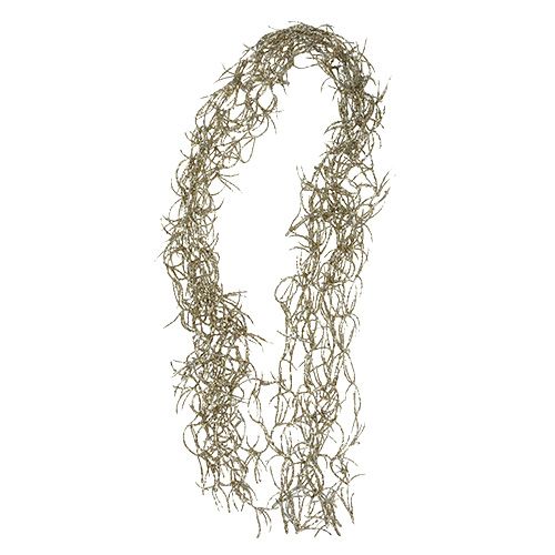 Floristik24 Deco streng Tillandsia Gold 100cm 10pcs