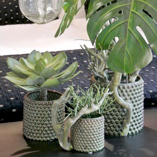 Floristik24 Dekorativ saftig plante kunstig grøn Ø30cm H27cm
