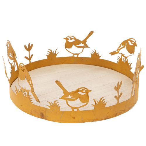 Dekorativ bakke, borddekoration med fugle, forårsdekoration, rustent metal, Ø20 cm H8,5 cm købe | Floristik24.dk