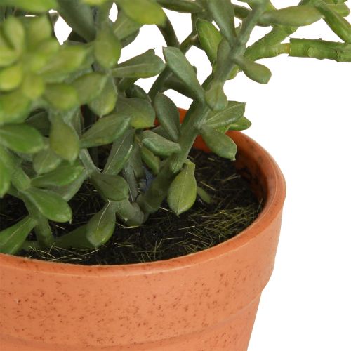 Artikel Dekorativ timian i potte kunstige urter Køkken dekoration 25cm