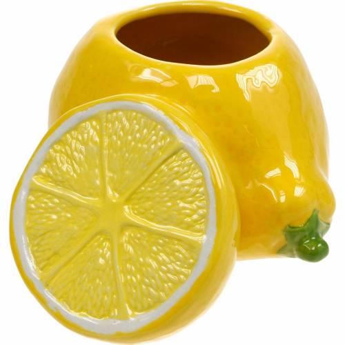 Floristik24 Dekorativ krukke citronvase citrusfrugt keramisk sommerdekoration