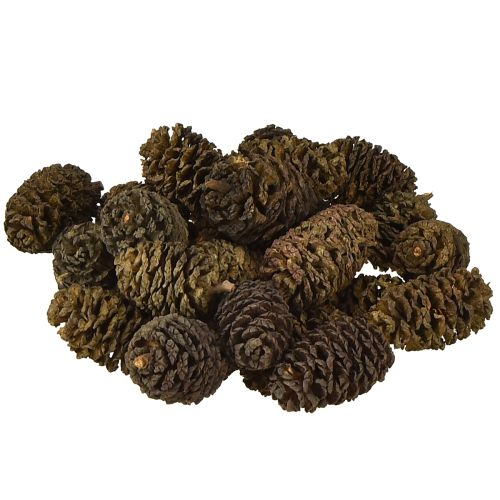 Dekorative kogler af elletræ, naturlige til dekoration, 3-4 cm, 200 g