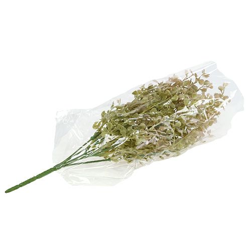 Floristik24 Dekorativ gren lysegrøn 35cm