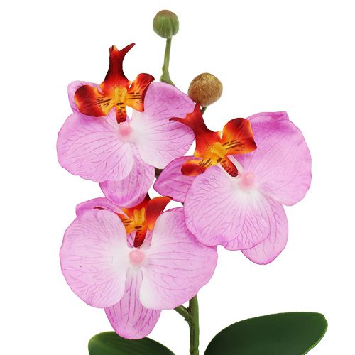Floristik24 Dekorativ orkidé i en lyserød gryde H29cm