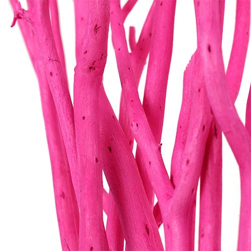 Floristik24 Dekorative grene Mitsumata 45-60cm pink 12 stk