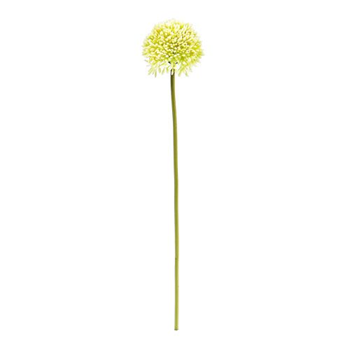 Floristik24 Deco allium creme Ø6,5cm L39cm