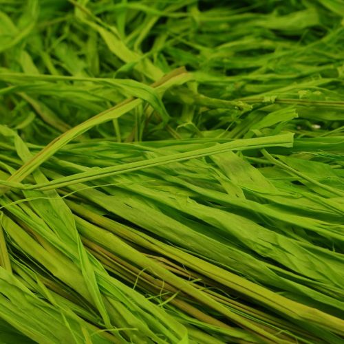 Artikel Dekorativ raffia til fremstilling af naturlig raffia raffia æblegrøn 200g