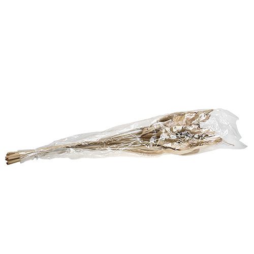 Floristik24 Dekorative blade natur 120cm 20 stk