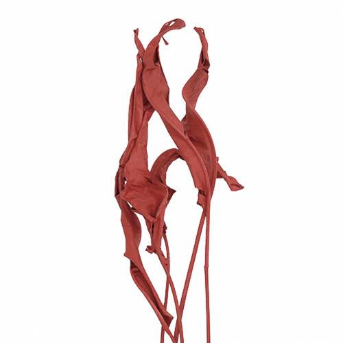 Floristik24 Dekorationsblade Strelitzia rød 85-105cm 10 stk