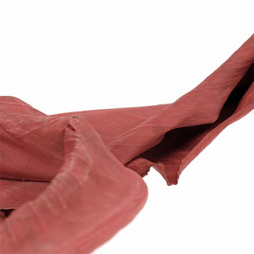 Floristik24 Dekorationsblade Strelitzia rød 85-105cm 10 stk
