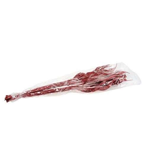 Floristik24 Dekorationsblade Strelitzia rød 85-105cm 10 stk