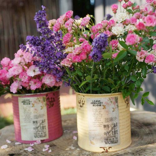 Artikel Dekorativ dåse, abrikos, metalplantepotte, sommerdekoration, Ø15,5 cm H15 cm