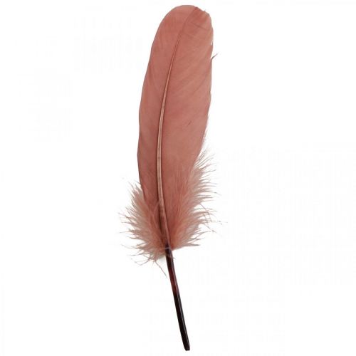 Dekorative fjer til kunsthåndværk Dusky pink ægte fuglefjer 20g