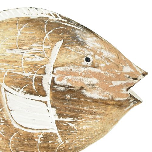 Floristik24 Dekorativ fisketræstativ på rod maritim dekoration 27cm