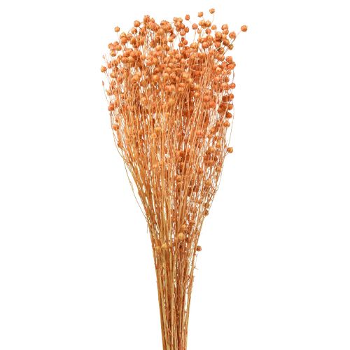 Artikel Deco Hør Tørrede Tørrede Blomster Abrikos Natur 80g