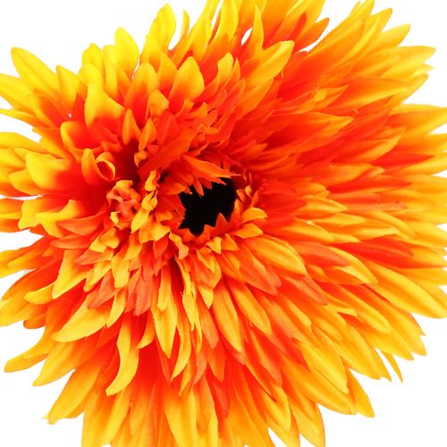 Floristik24 Dekorativ Gerbera Orange Ø15cm L88cm