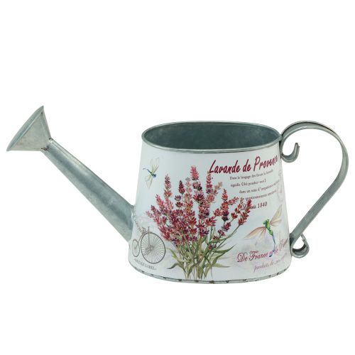 Floristik24 Dekorativ vandkande metal lavendel kande 30×11cm H14,5cm