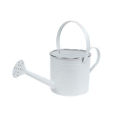 Floristik24 Dekorativ vandkande hvid Ø17cm H17cm 1p
