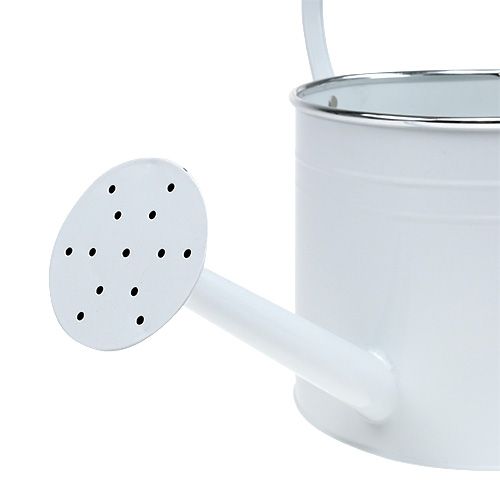 Floristik24 Dekorativ vandkande hvid Ø17cm H17cm 1p