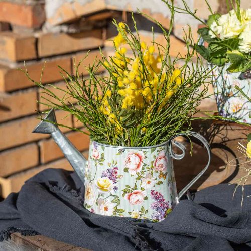 Floristik24 Dekorativ vandkande landsted metal til plantning H16cm