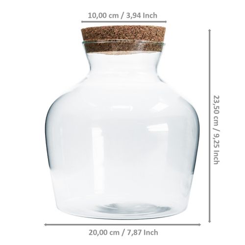 Floristik24 Dekorationsglas med kork Dekorativ vase klar løgformet Ø20cm H21cm