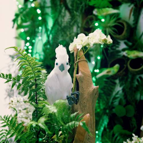Floristik24 Dekorativ cockatoo med fjer hvid L30cm