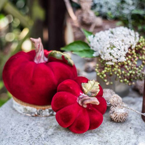 Floristik24 Deco græskarrød borddekoration efterår polyresin 10,5×9cm 2stk