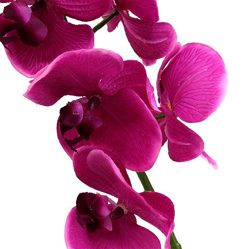 Floristik24 Dekorativ orkide lyserød L77cm