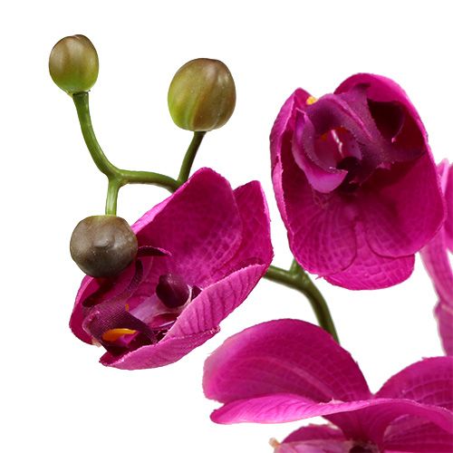 Floristik24 Dekorativ orkide lyserød L77cm