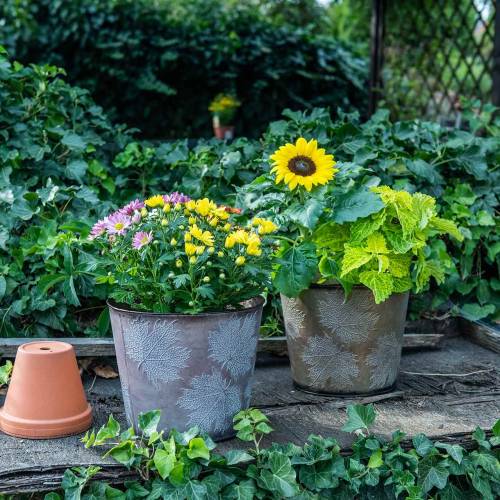 Floristik24 Dekorativ plantepotte med blade zink metallisk grå, orange, brun Ø26cmH22cm 3stk