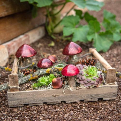Floristik24 Deco svampe glas rød efterårs dekoration borddekoration Ø6,5cm H10cm 3stk