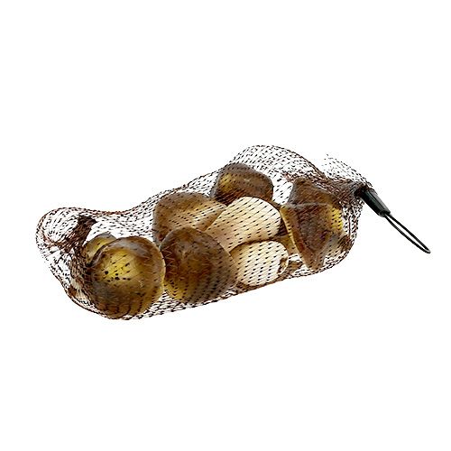 Floristik24 Dekorative svampe i nettet 5-8cm assorteret. brun 8stk