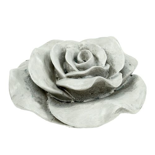 Floristik24 Dekorativ rosegrå 13cm