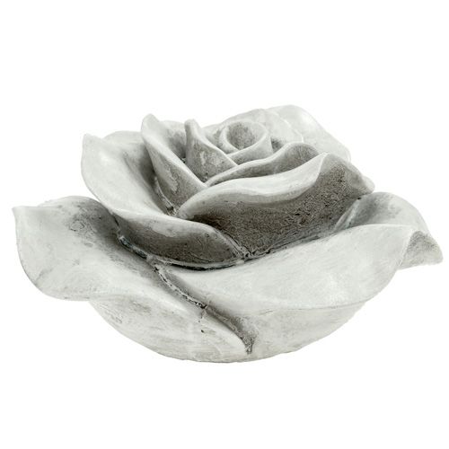 Floristik24 Dekorativ rosegrå 13cm