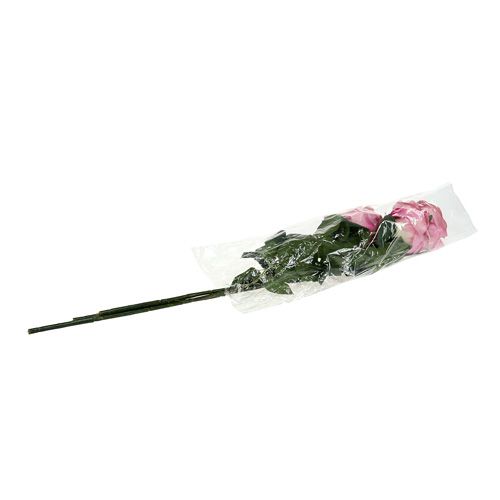 Floristik24 Dekorativ rosefyldt mørkeagtig lyserød Ø10cm L65cm 3stk