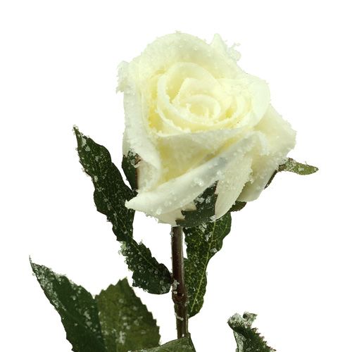 Artikel Dekorativ rose hvid sneklædt Ø6cm 6stk