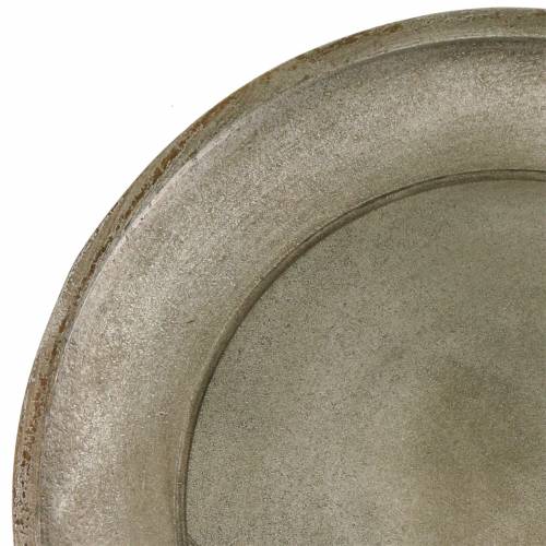 Floristik24 Dekorativ plade træ champagne Ø32cm