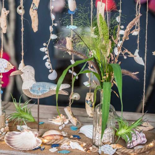 Floristik24 Deco tillandsie grøn 16 cm 4stk