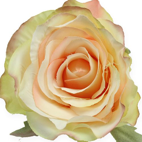 Floristik24 Kunstige rosenhoveder Ø9cm 6stk