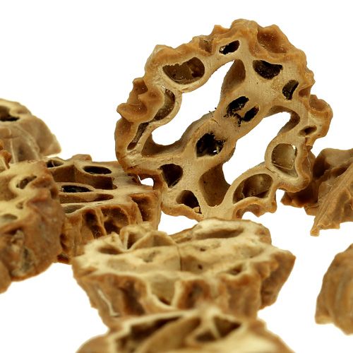 Floristik24 Nøddeskiver 2 cm naturlige 250g