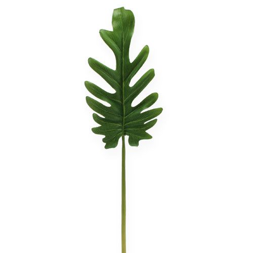 Artikel Dekorative ark Philodendron Grøn W11cm L34cm 6stk