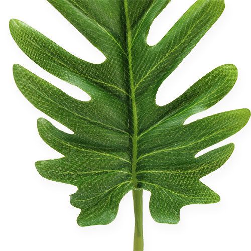 Floristik24 Dekorative ark Philodendron Grøn W11cm L34cm 6stk