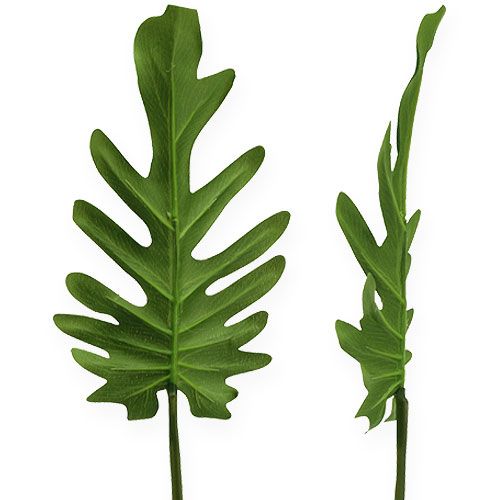 Floristik24 Dekorative ark Philodendron Grøn W11cm L34cm 6stk