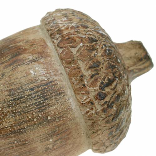 Floristik24 Dekorativ figur acorn brun 11cm x 8cm x 7cm 3stk