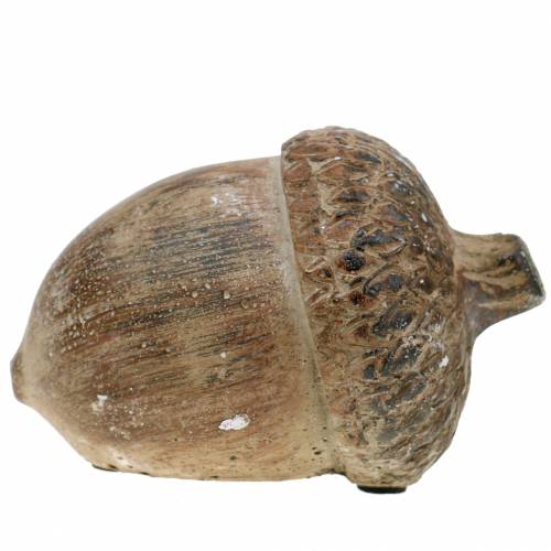 Floristik24 Dekorativ figur acorn brun 11cm x 8cm x 7cm 3stk