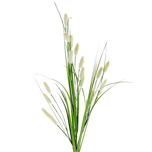 Floristik24 Dekorativ græsgrøn L85cm