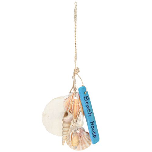 Artikel Dekorativ bøjle Beach House Blue Capiz tårnsnegl H25cm